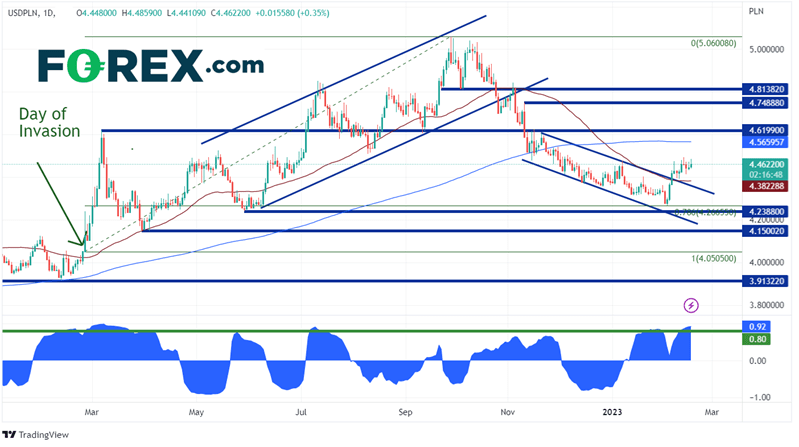 Daily USD/PLN Chart