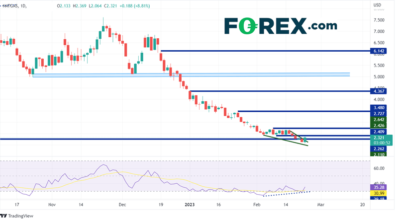 Daily Natural Gas Chart