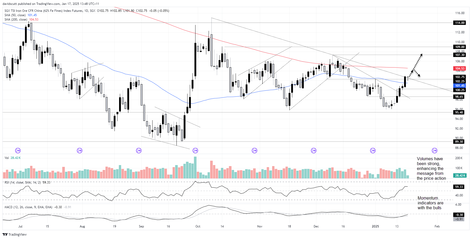 SGX iron ore Jan 17 2025