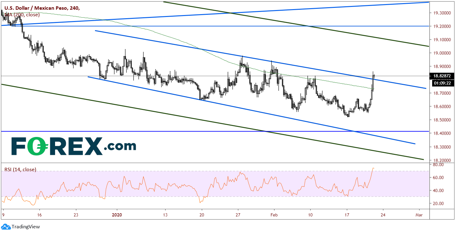 USD/MXN market chart to Feb 2020