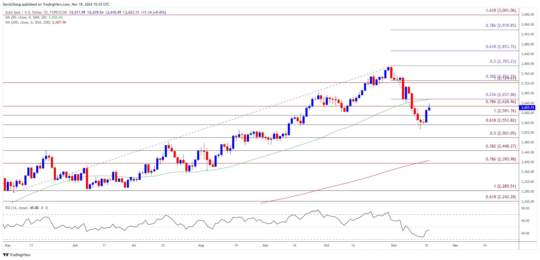 Gold Price Daily Chart 11192024