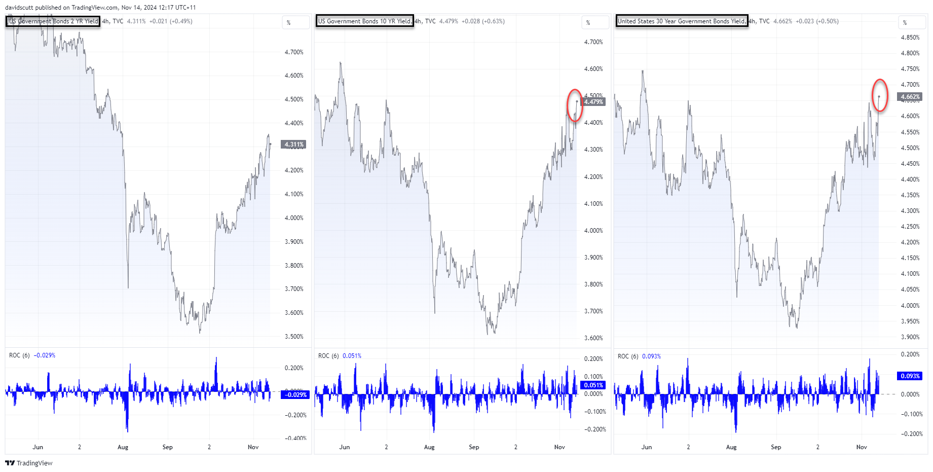 T-curve Nov 14 2024