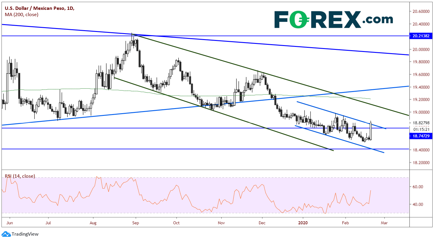 USD/MXN market chart Jun 2019 to Feb 2020