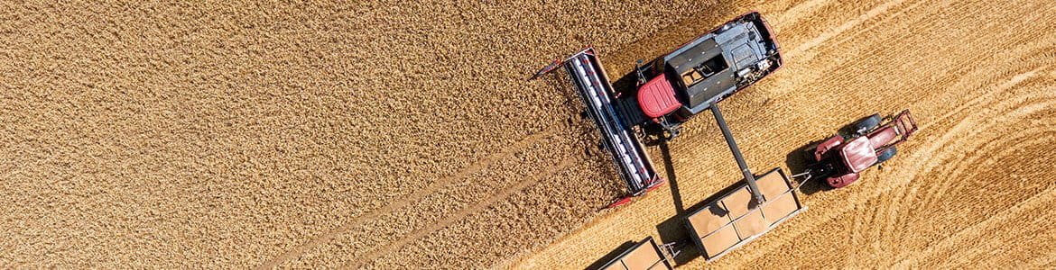 Field being ploughed