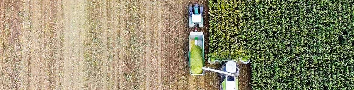 Fields being ploughed