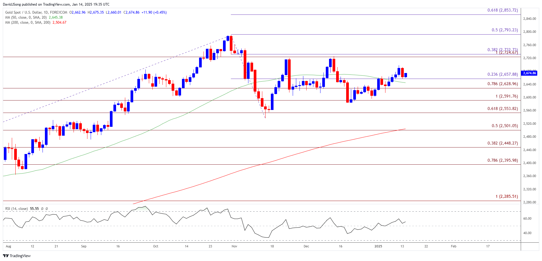 Gold Price Daily Chart 01142025