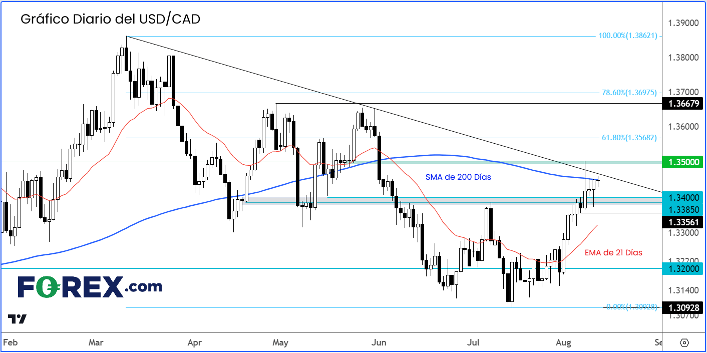 230811 usdcad gráfico diario