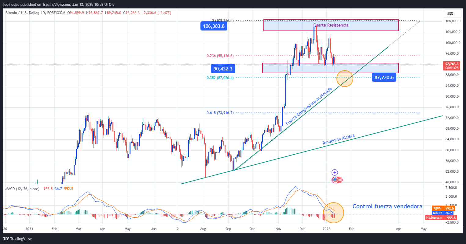 BTCUSD_2025-01-13_10-58-35