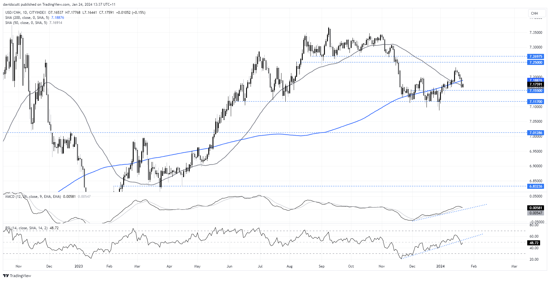 usdcnh January 24