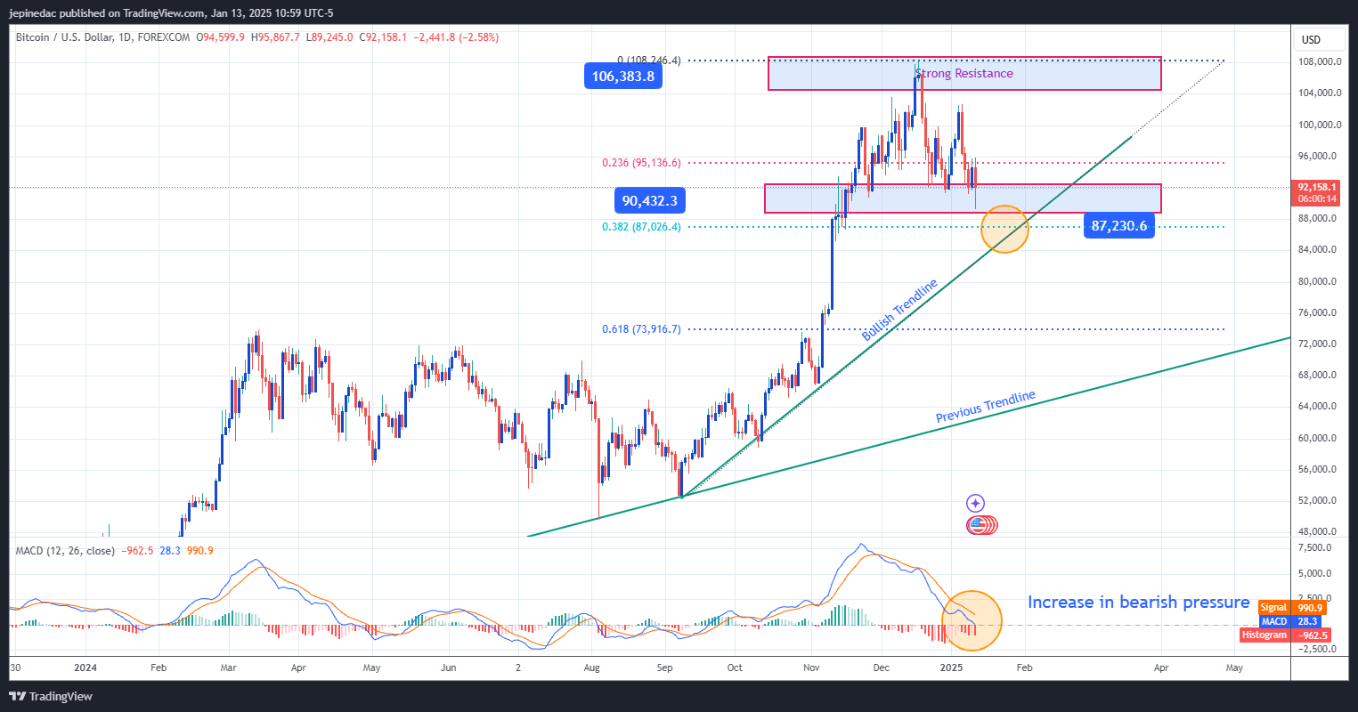 BTCUSD_2025-01-13_10-59-47